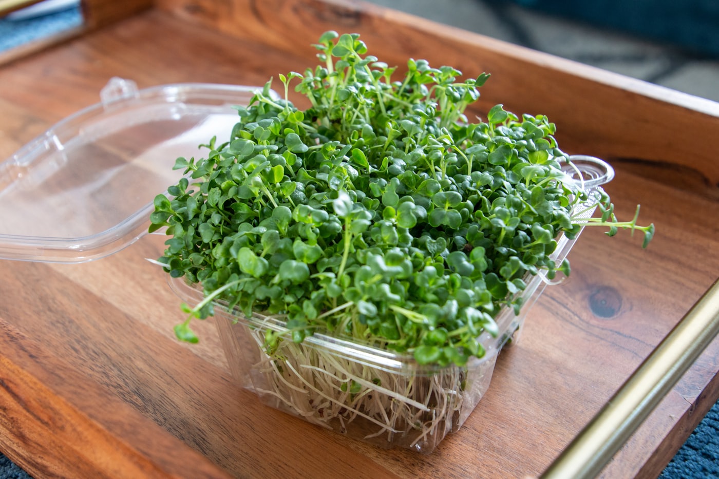 Chef pack of microgreens