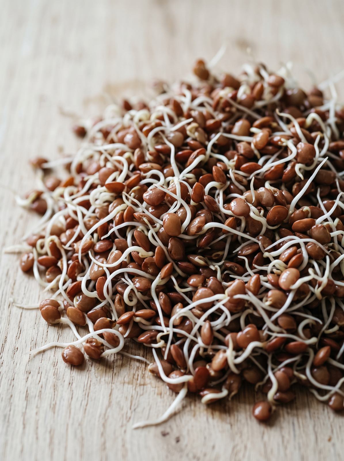 Horsegram sprouts