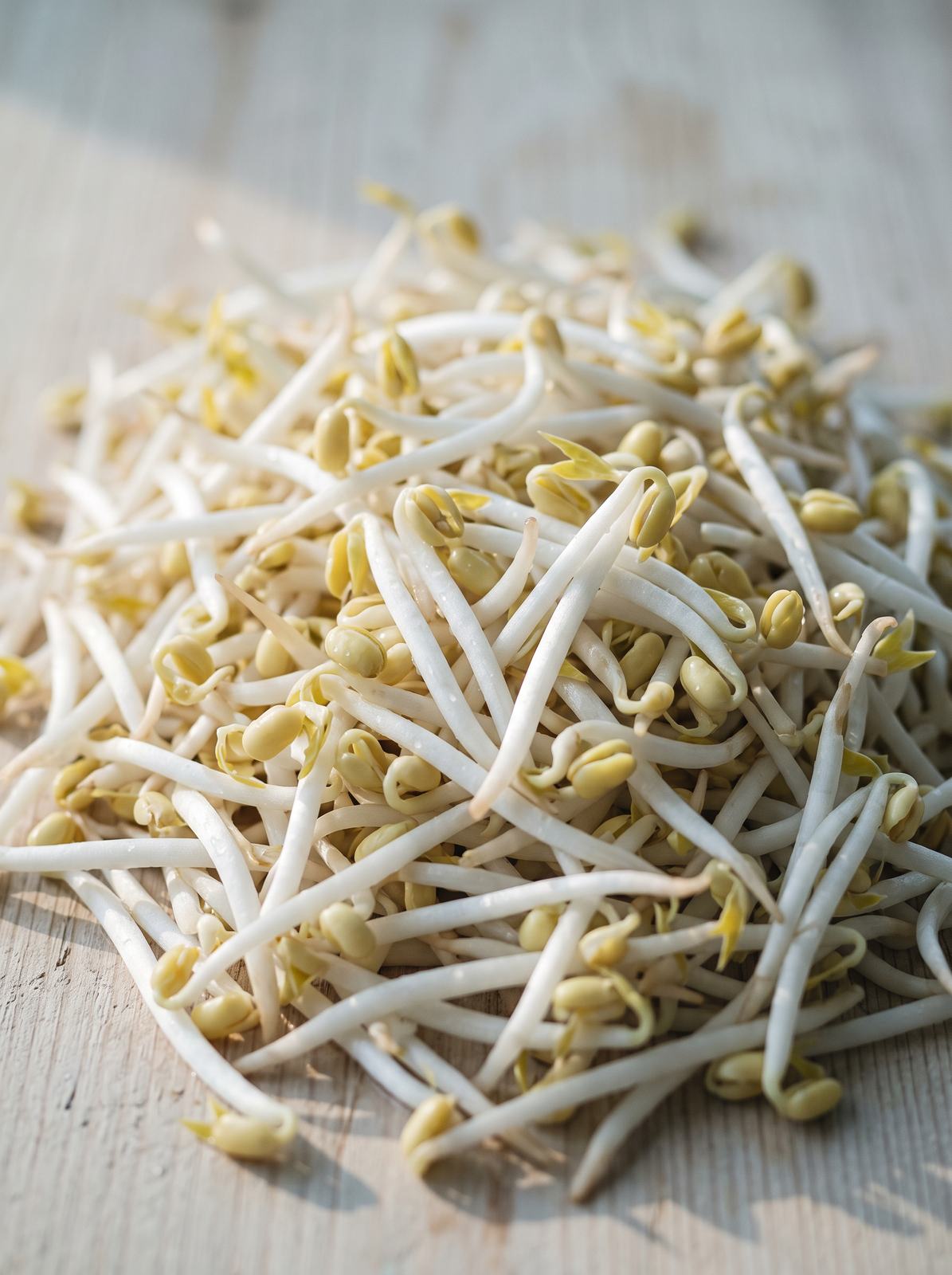 Sprouts