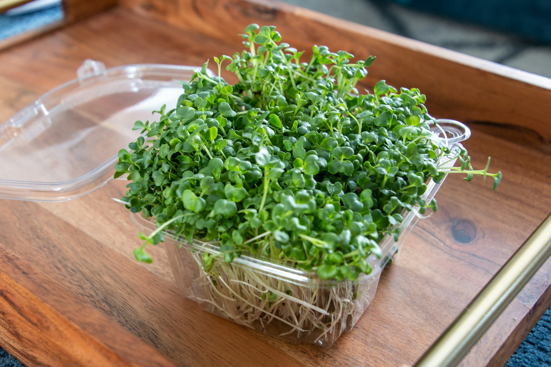 Punnet of microgreens on a tray